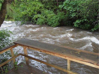 Picture of flooding Milk Creek near Molalla
