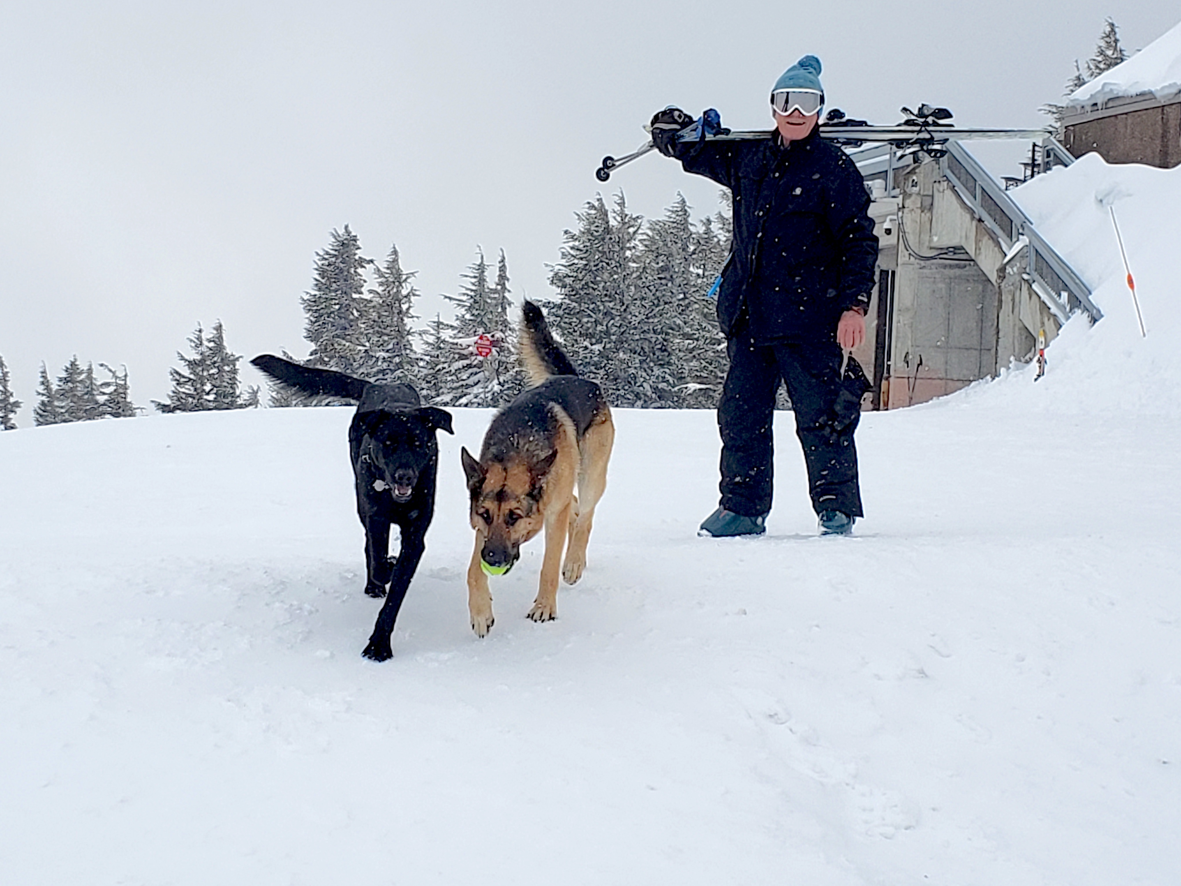 Picture of Ray & dogs in snow 3/20/2022