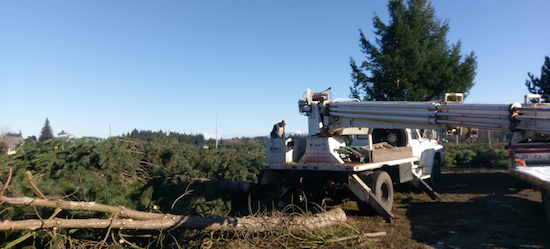 Ray's boom truck on timber felling project