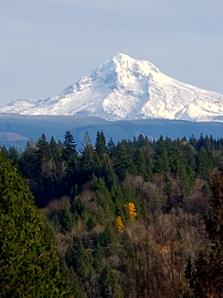 Picture of Mt. Hood